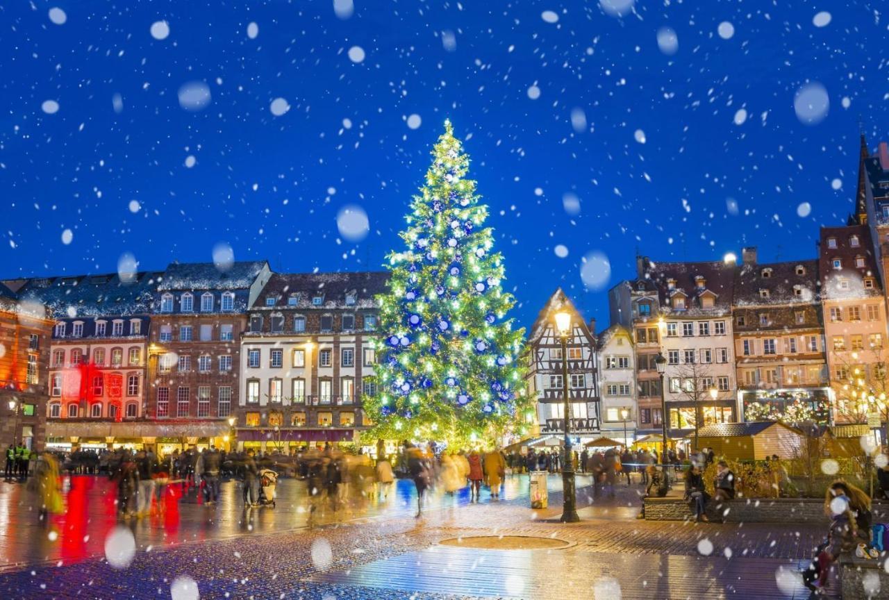 Appartements De La Pleiade Strasbourg Luaran gambar